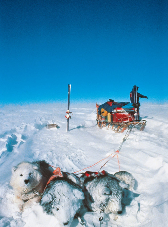 CROSSING GREENLAND